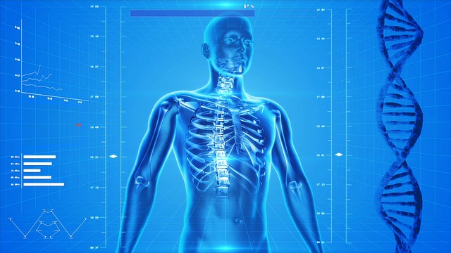 Human Body AI Health Care