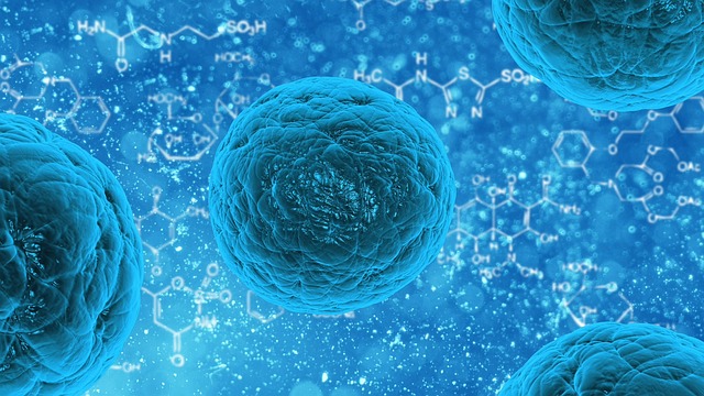 Synthetic Stem Cells Implanted
