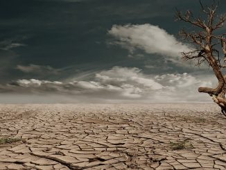 global warming desert