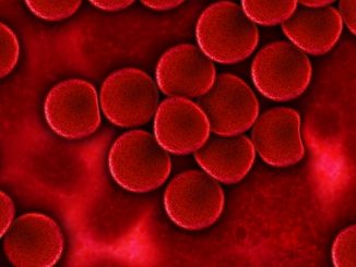 health blood cells
