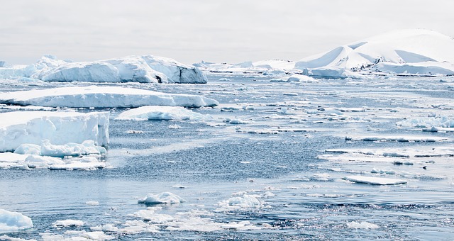 Global Warming Arctic