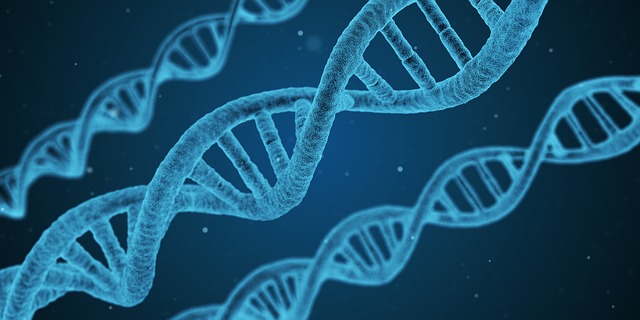 Gene Editing DNA