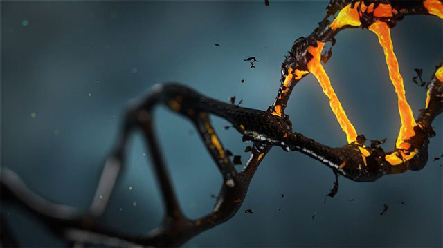 CRISPR - DNA